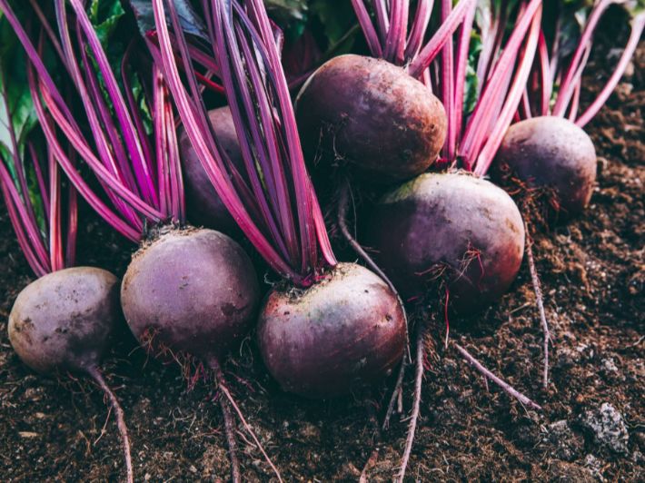 Blood sugar and its relationship to&nbsp;beets
