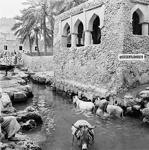 **For lovers of archaeological tourism.. Tarut Castle##&nbsp;*#