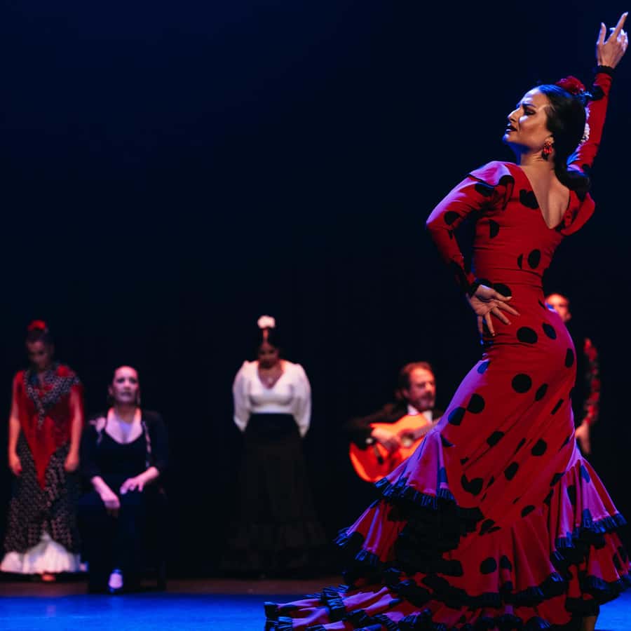 Book your ticket and enjoy the dance show in Seville **Click here&nbsp;**