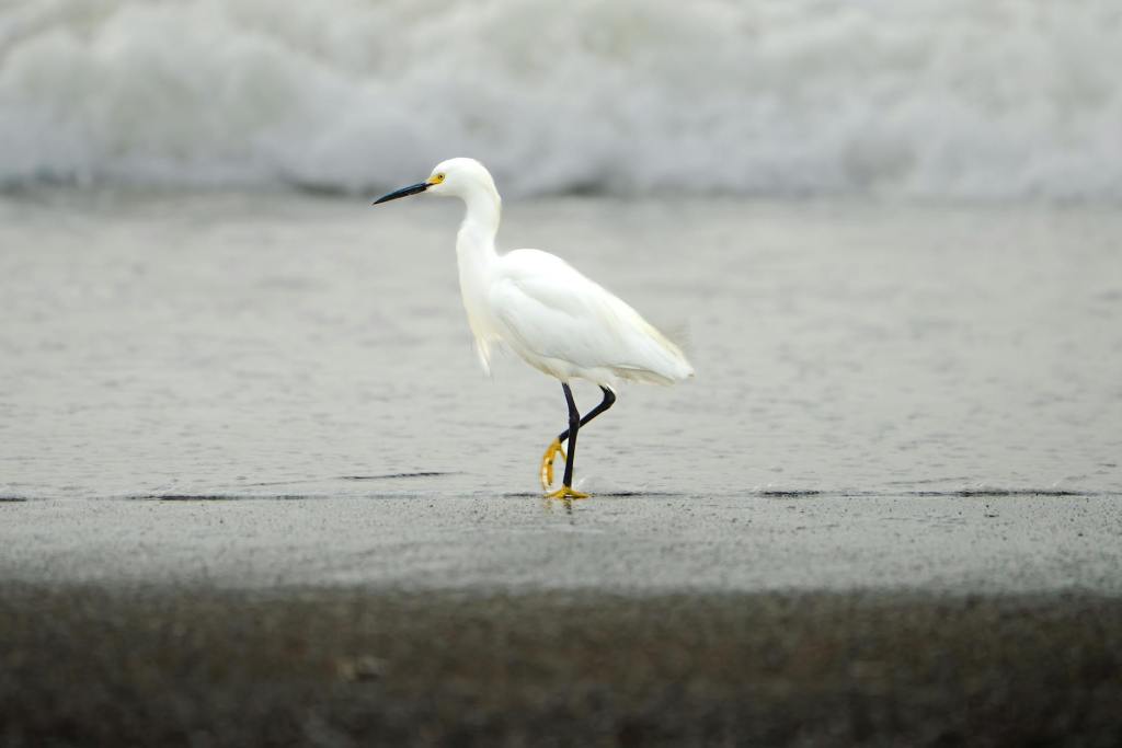 I will come back to&nbsp;you